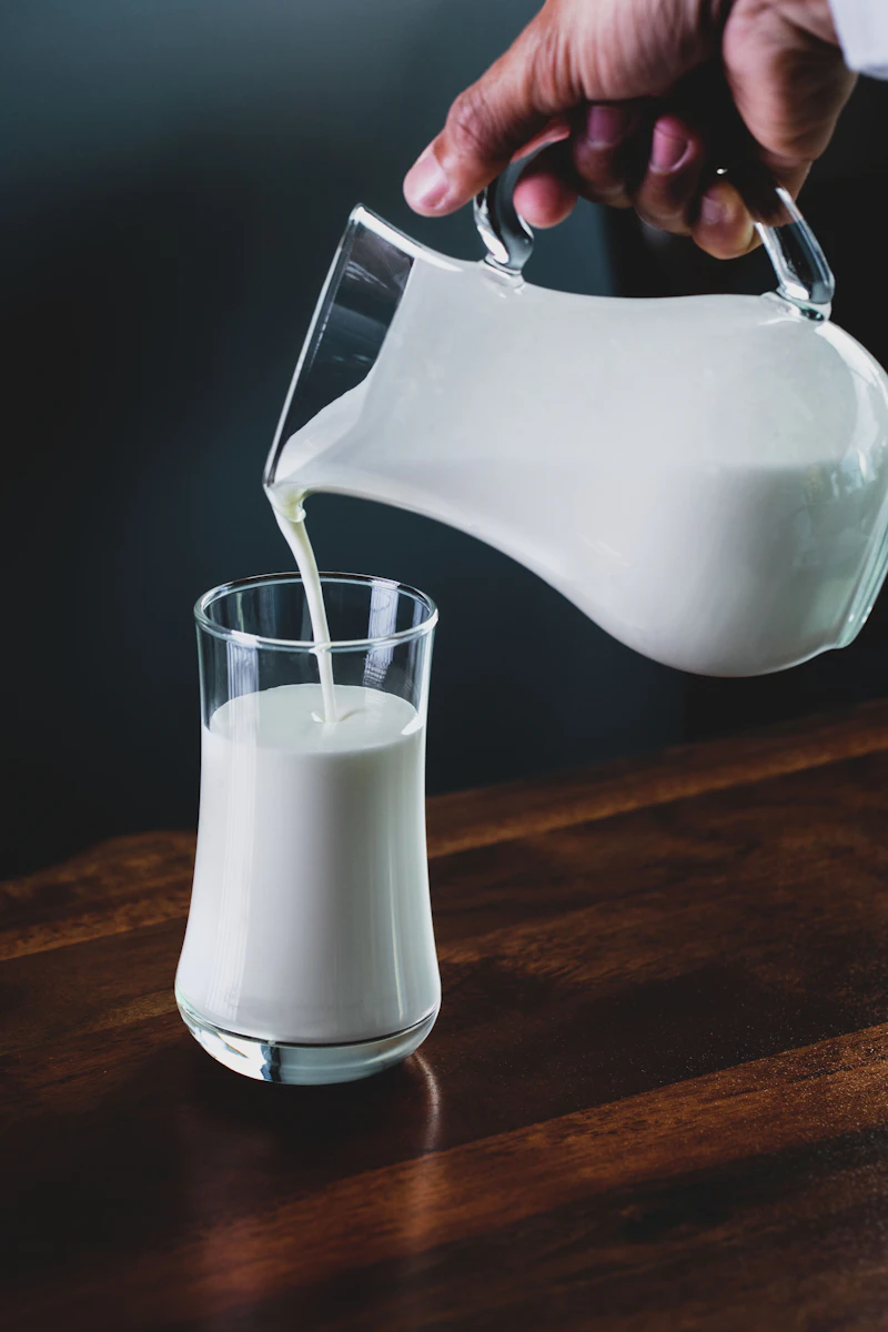 Fresh buffalo milk pouring in Washim